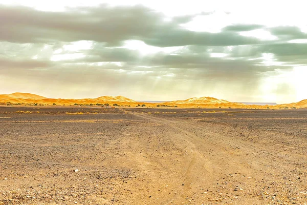 Beautiful sand dunes in the Sahara desert. — Stock Photo, Image