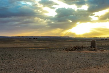 Hamada du Draa, kuru dalları ve ön planda bir Berberi duş ile şafakta Fas taş çöl, Fas