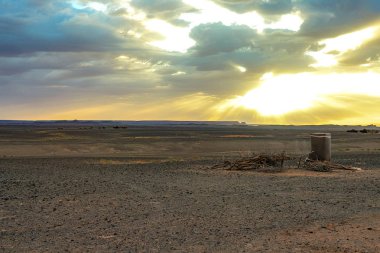 Hamada du Draa, kuru dalları ve ön planda bir Berberi duş ile şafakta Fas taş çöl, Fas