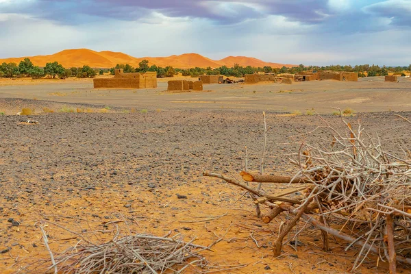 Hamada du Draa, deserto de pedra marroquina ao amanhecer, com galhos secos e em primeiro plano, Marrocos — Fotografia de Stock