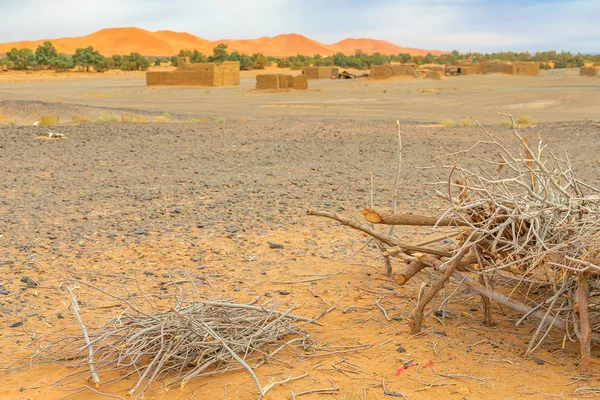 Hamada du Draa, deserto de pedra marroquina ao amanhecer, com galhos secos e em primeiro plano, Marrocos — Fotografia de Stock