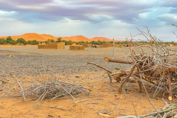 Hamada du Draa, deserto de pedra marroquina ao amanhecer, com galhos secos e em primeiro plano, Marrocos — Fotografia de Stock