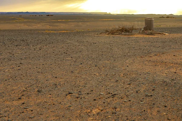 Hamada du Draa, deserto de pedra marroquina ao amanhecer com galhos secos e um chuveiro berbere em primeiro plano, Marrocos — Fotografia de Stock