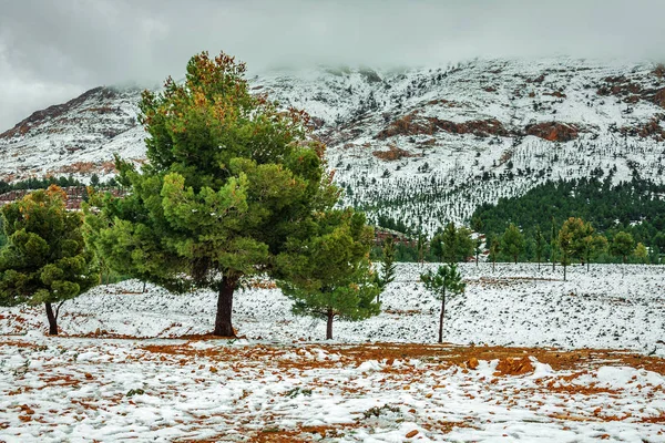 Gyönyörű téli panoráma a hegyek Bouiblane-Marokkó — Stock Fotó