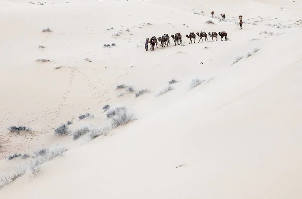 Караван проходит через песчаные дюны пустыни Сахара — стоковое фото