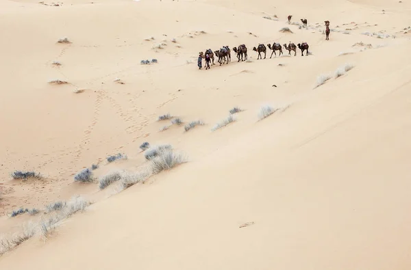 Karawane durch die Sanddünen in der Sahara-Wüste — Stockfoto