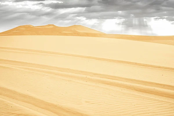 Schöne Sanddünen in der Sahara. — Stockfoto