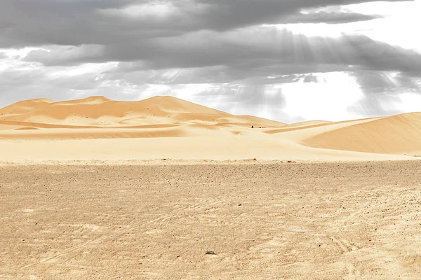 Belle dune di sabbia all'alba nel deserto del Sahara. Marocco — Foto Stock