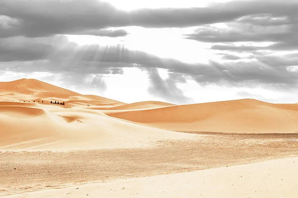 Caravan gaan door de zandduinen in de Sahara woestijn — Stockfoto