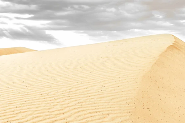 Mooie zandduinen in de Sahara woestijn. — Stockfoto