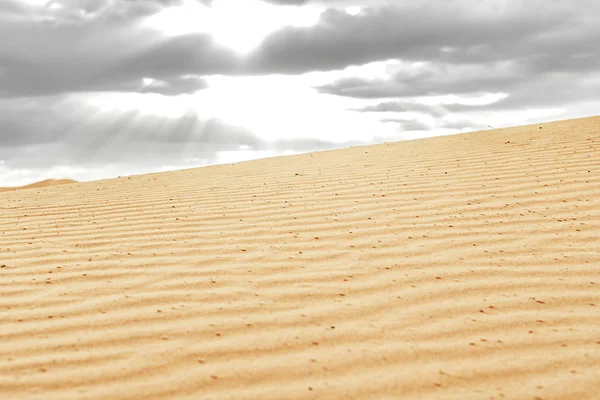 Schöne Sanddünen in der Sahara. — Stockfoto