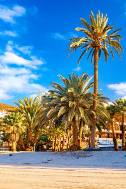 Tenerife'deki Atlantik kıyısımanzarası. Plaj, volkanik taşlar, çakıl taşları.