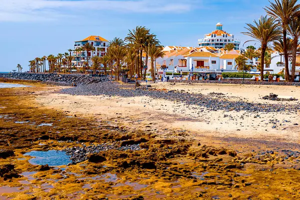 Vista da costa atlântica em Tenerife. Praia, pedras vulcânicas, seixos . — Fotografia de Stock