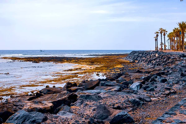 Vista de la costa atlántica de Tenerife. Playa, piedras volcánicas, piedras . — Foto de Stock