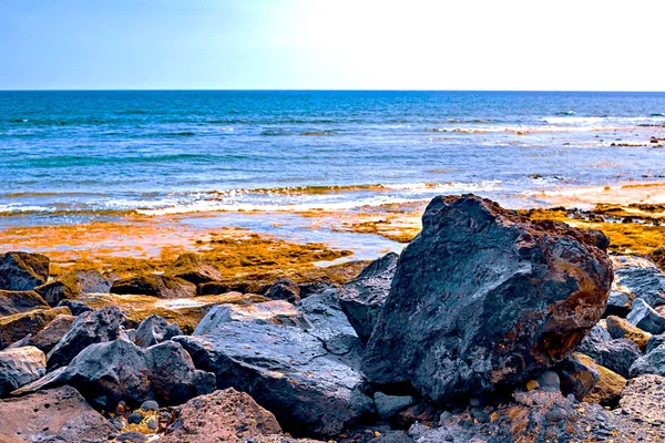 Vista de la costa atlántica de Tenerife. Playa, piedras volcánicas, piedras . — Foto de Stock