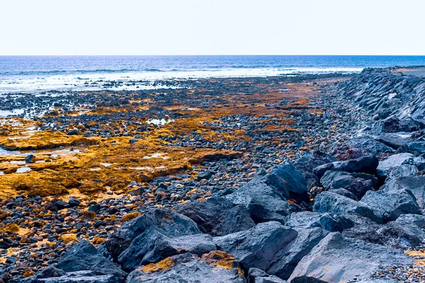 Vue de la côte atlantique à Tenerife. Plage, pierres volcaniques, galets . — Photo