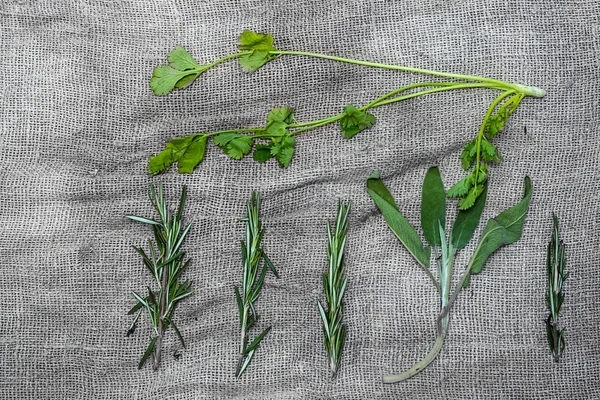 Paquetes de especias de hierbas frescas, sobre fondo de lino gris . — Foto de Stock