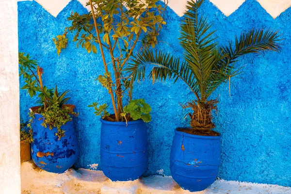 Blue and White Street i Kasbah des Oudaias i Rabat Marocko — Stockfoto