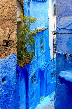 Şef, mavi boyalı evleri olan bir şehir. Dar, güzel, mavi sokakları olan bir şehir..