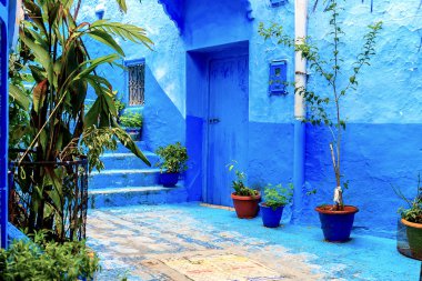 Şef, mavi boyalı evleri olan bir şehir. Dar, güzel, mavi sokakları olan bir şehir..