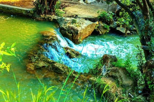 Vízesés a trópusi zöld fa erdőben. Vízesés áramlik dzsungelben. — Stock Fotó