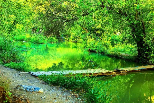 Cachoeira na floresta tropical de árvores verdes. Cachoeira está fluindo na selva . — Fotografia de Stock