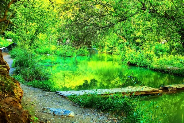 Cachoeira na floresta tropical de árvores verdes. Cachoeira está fluindo na selva . — Fotografia de Stock