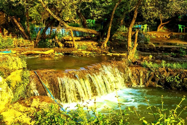 Waterfall in tropical green tree forest. Waterfall is flowing in jungle.