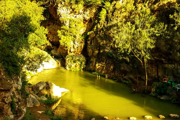 Waterval in tropisch groen boombos. Waterval stroomt in de jungle. — Stockfoto