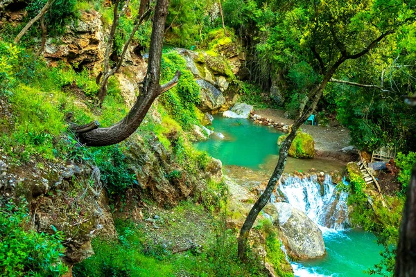 Waterval in tropisch groen boombos. Waterval stroomt in de jungle. — Stockfoto