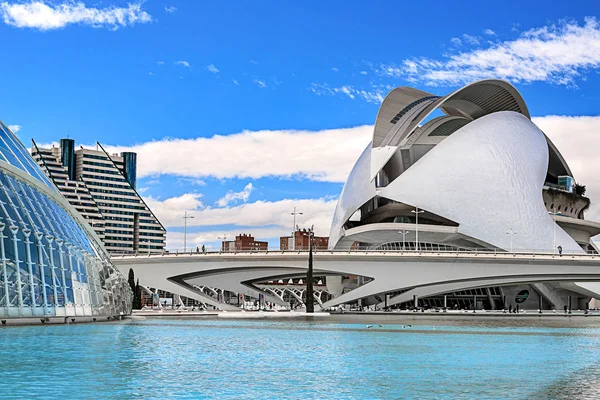 Valencia, İspanya - 17 Ağustos 2019. Sanat ve bilim şehrinin görünümü