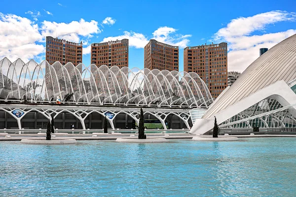 Valencia, İspanya - 17 Ağustos 2019. Sanat ve bilim şehrinin görünümü