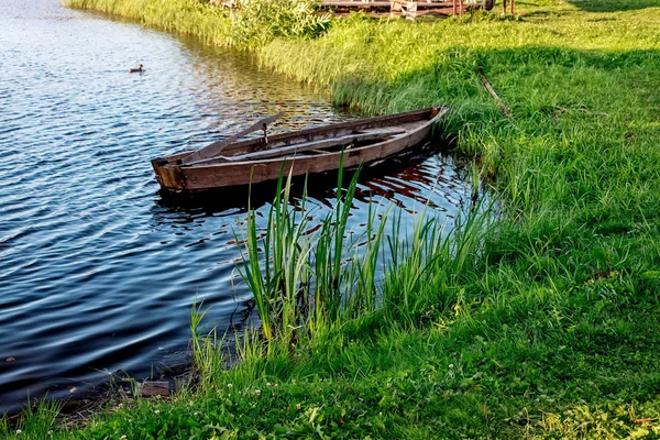 Um pequeno barco a remo de madeira com um fundo quebrado em um lago calmo perto da costa . — Fotografia de Stock