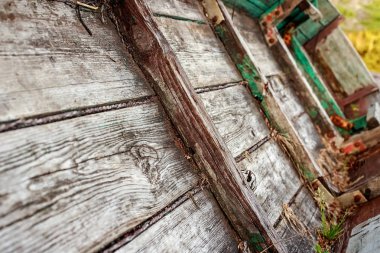 Küçük bir ahşap kürek tekne ormanda yansıtılır sakin bir göl yakınında, kıyıda kurur.