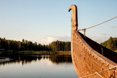 Dinlenme bölgesi. Çam ağaçlarıyla dolu bir orman gölünde mavi su. Orman suya yansıyor..