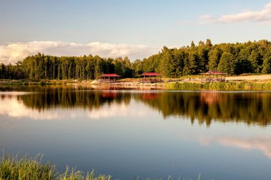 Dinlenme bölgesi. Çam ağaçlarıyla dolu bir orman gölünde mavi su. Orman suya yansıyor..