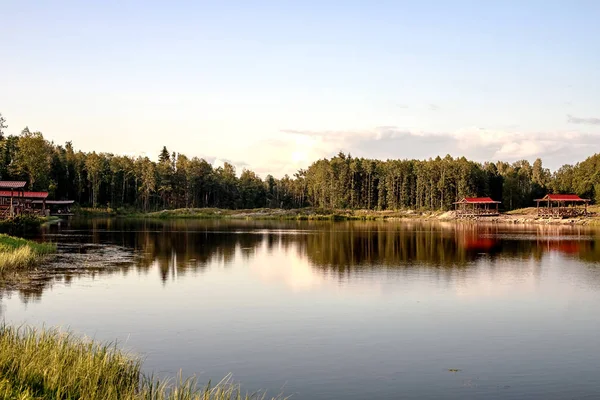 Dinlenme bölgesi. Çam ağaçlarıyla dolu bir orman gölünde mavi su. Orman suya yansıyor..