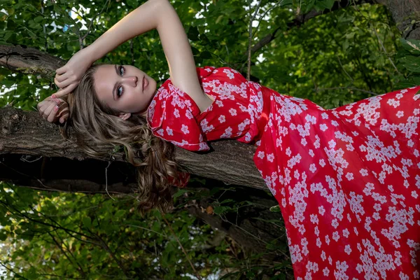 Una hermosa joven con la piel perfecta, con el pelo largo en un vestido rojo se encuentra en una rama de árbol con un aspecto relajado y lánguido . —  Fotos de Stock