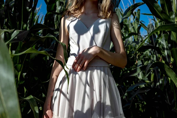Portrait of a fair-haired girl in fashionable and stylish clothes, among the foliage of a corn field.