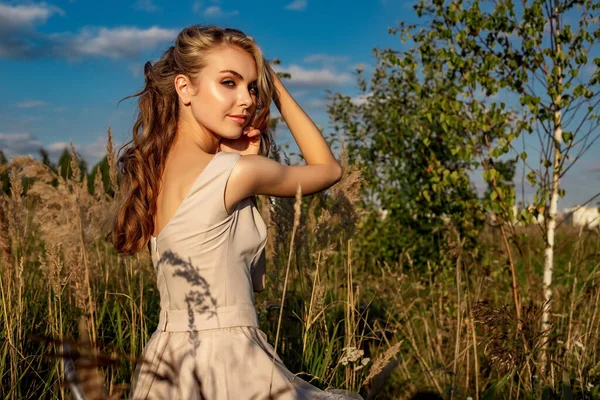 Портрет блондинки в платье, которое сидит в поле с высокой травой и березой . — стоковое фото