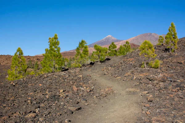 Pico Viejo ve Pico del Teide patika. Parque Nacional del Teide adada Tenerife, Kanarya.
