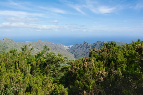 Blick Auf Die Roques Anaga Parque Rural Anaga Teneriffa Kanarische — Stockfoto
