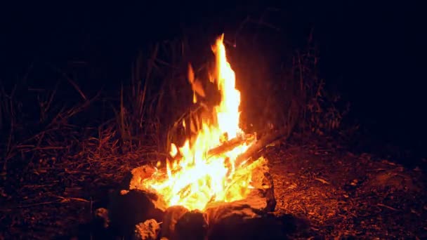 Kampvuur Open Lucht Weergeven Van Een Hand Ruffling Hete Kolen — Stockvideo