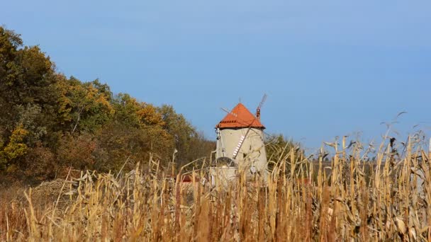 Wiatrak Farmie Europie Wczesną Jesienią Las Niebieski Niebo Tle — Wideo stockowe