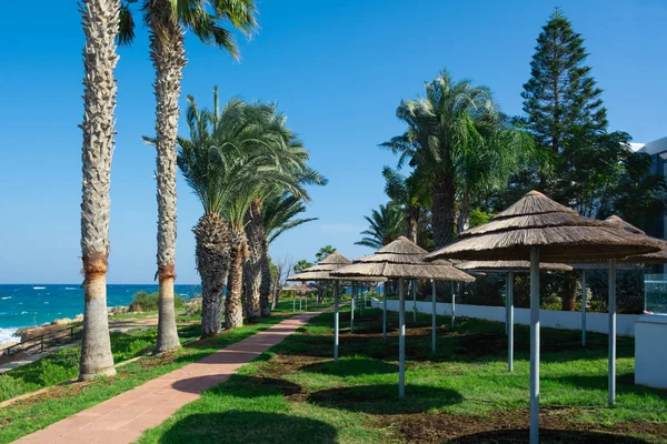 Yol boyunca tatil seashoree görünümü. Protaras, Kıbrıs. Palmiye ağaçları salonu ve şemsiye thatched çatı.