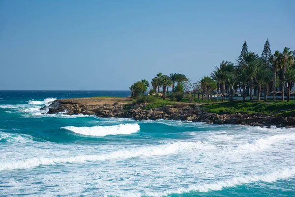 Schöne Aussicht Auf Die Feigenbaum Bucht Halbinsel Mit Großen Wellen — Stockfoto