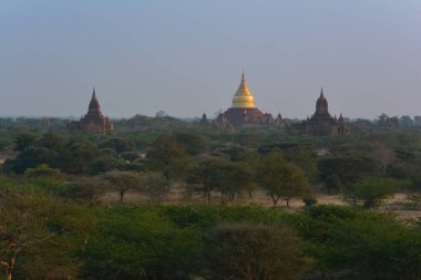 Altın Dhammayazika Pagoda şafakta Bagan Arkeoloji Bölgesi, Myanmar (Burma)