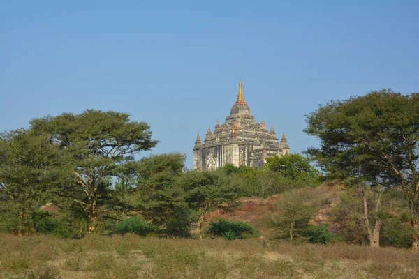 Hermoso templo Thatbyinnyu - el templo budista más alto de Ba —  Fotos de Stock