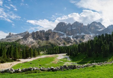 Dolomites, İtalya'da ile alp çayırı güzel görünümü. 