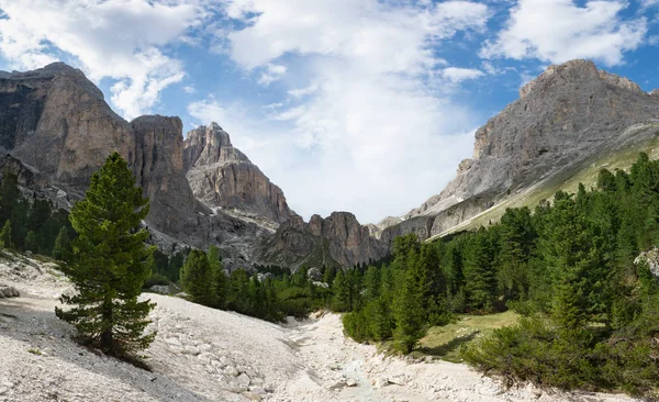 Panorámás kilátás Torri del Vajolet és Rosengarten (Catinaccio) — Stock Fotó